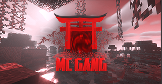 Bannière du serveur McGanG