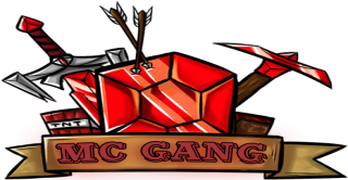Bannière du serveur McGanG