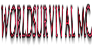 Bannière du serveur WorldSurvival-MC