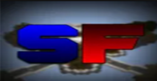 Bannière du serveur SkaryaFight