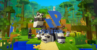 Bannière du serveur RizVolution