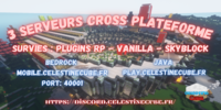 Bannière du serveur CelestineCube Java - Bedrock