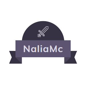 Bannière du serveur NaliaMC