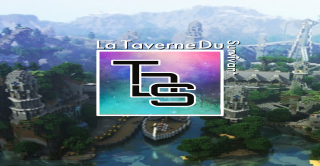 Bannière du serveur La Taverne Du Survivant