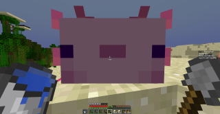 Bannière du serveur HalkingTR