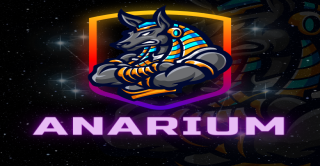 Bannière du serveur Anarium / Serveur survie chill