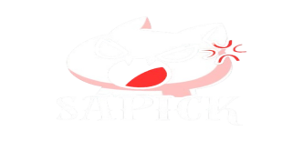 Bannière du serveur PLAY.SAPICK.FR
