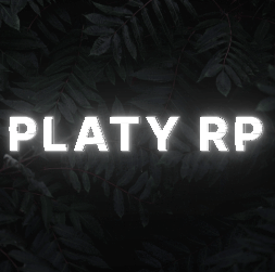 Bannière du serveur PLaty RP