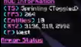 Bannière du serveur Divine MC