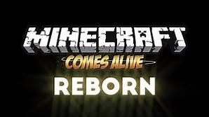 Bannière du serveur AliveMc