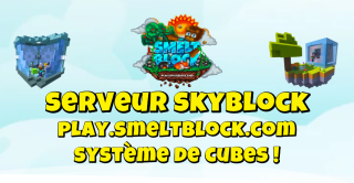 Bannière du serveur Smeltblock