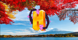 Bannière du serveur Hitoko