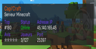 Bannière du serveur Capi'Craft