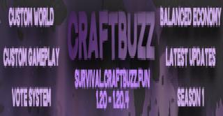Bannière du serveur CraftBuzz