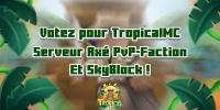 Bannière du serveur TropicalMC