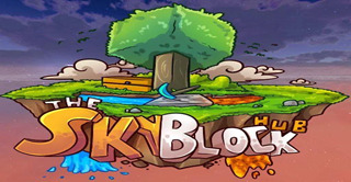 Bannière du serveur SkyFriends