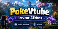 Bannière du serveur PokeVtube